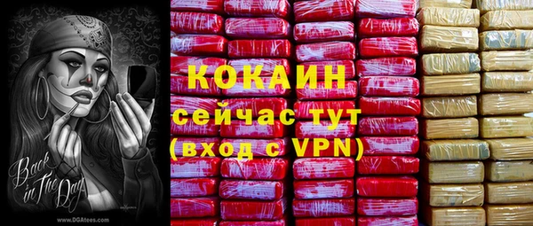 PSILOCYBIN Карпинск