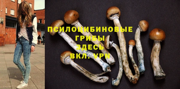 PSILOCYBIN Карпинск