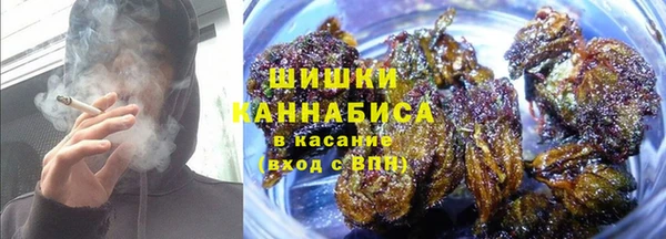 PSILOCYBIN Карпинск
