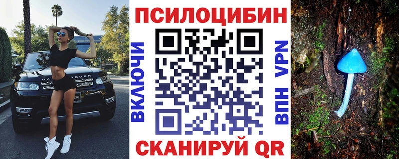 Купить где  Чебоксары  Галлюциногенные грибы Cubensis 